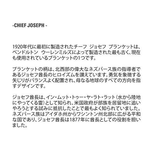 Fiberlok マウスラグ "チーフジョセフ" Mouse Rug “Chief Joseph” PRC-1 |  | 01