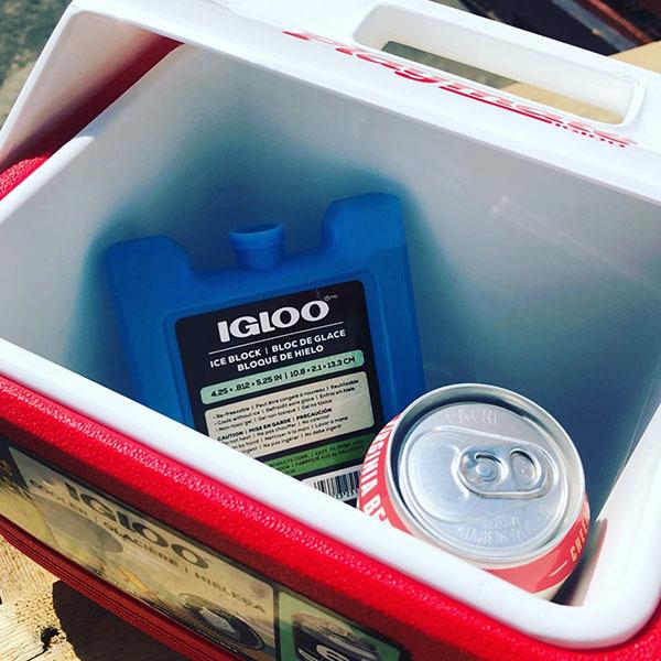 IGLOO(イグルー)  PLAYMATE  プレイメイト ELITE エリート ブルー 32645 | igloo | 02