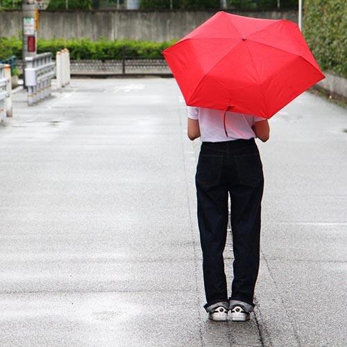 VOL. オール ウェザー アンブレラ | DETAIL | 09