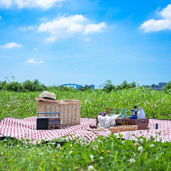 GENIAL ピクニック&ビーチラグ | GENIAL | 01