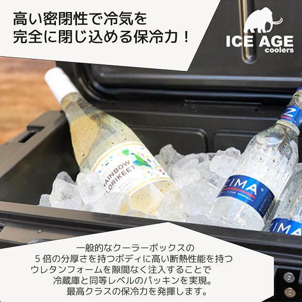 ICE AGE cooler (アイスエイジ) クーラーボックス 45QT 42.6L 2〜3人向け(ILC045TAN) | ICE AGE | 03