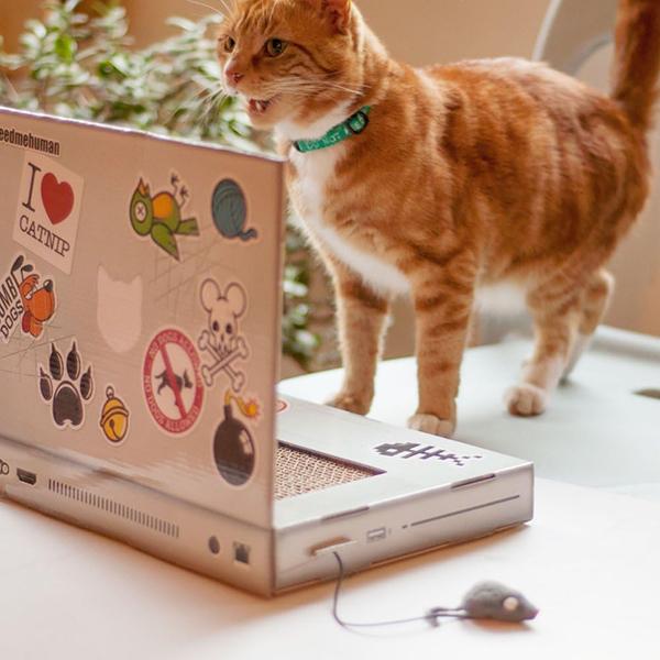 SUCK UK キャットスクラッチャー ラップトップ Cat Laptop Scratch Pad CATTTOP1 | suck UK | 04