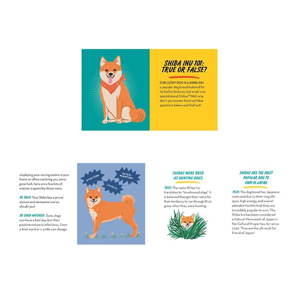 Hachette トイ&ブック ”ラッキードッグ" |  | 04