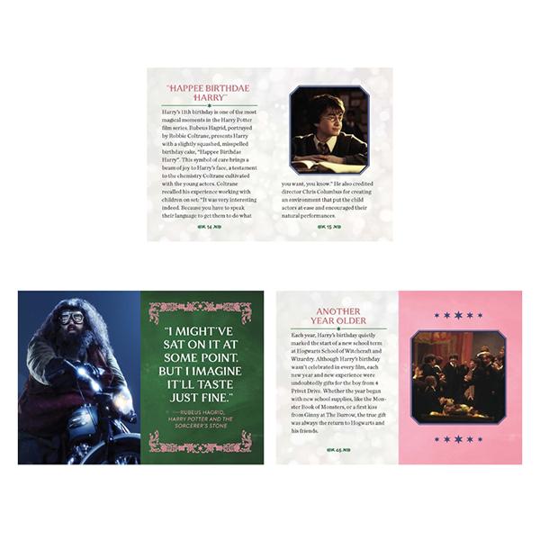 Hachette トイ&ブック ”ハリーズ バースデーケーキ" Harry's Birthday Cake |  | 05