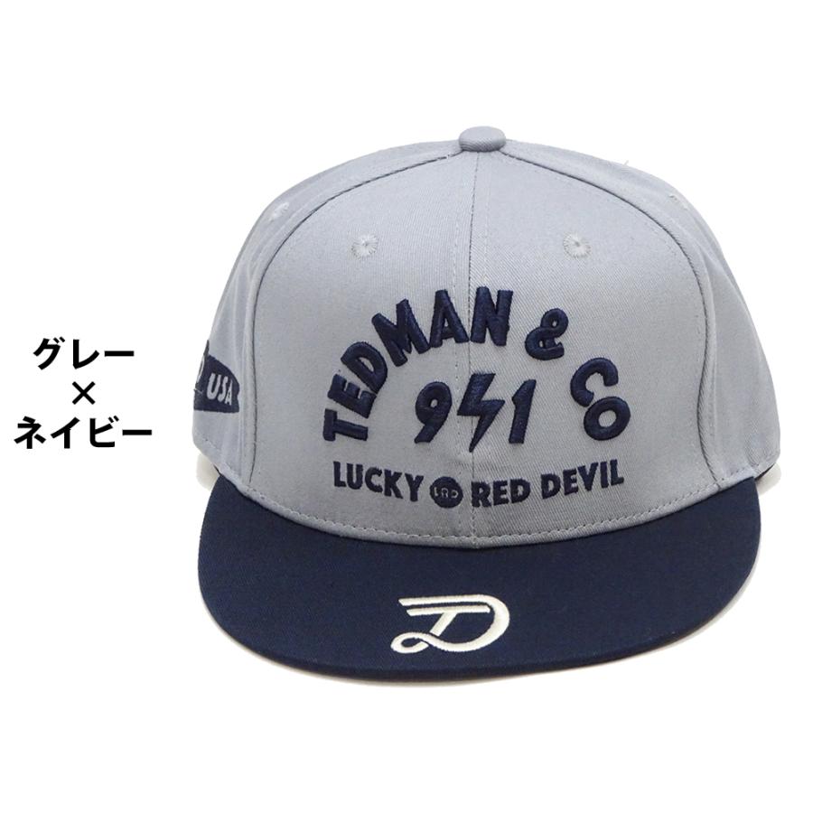 TEDMAN（テッドマン） キャップ TEDMAN 6方パネル ストレートキャップ