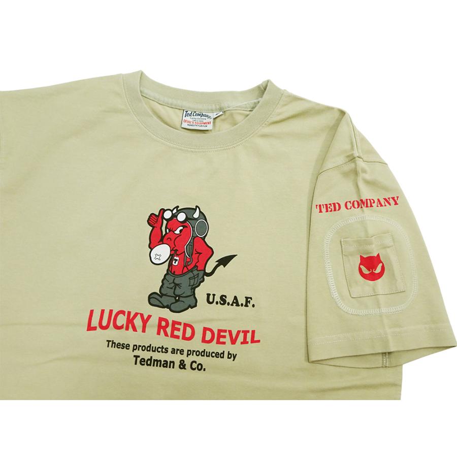 TEDMAN（テッドマン） Tシャツ TEDMAN U.S.AIR FORCE ミリタリー