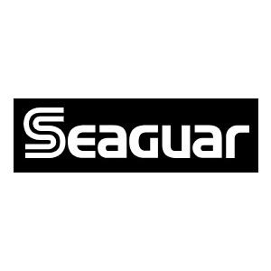 Seaguar（シーガー） シーガー☆R18フロロリミテッド☆#6lb☆100M