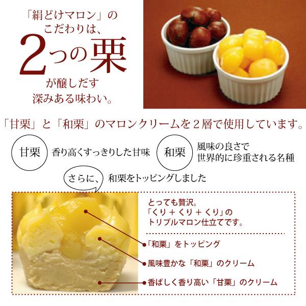 スイーツ ギフト モンブラン 「絹どけマロン」 (5個入り) : デザート