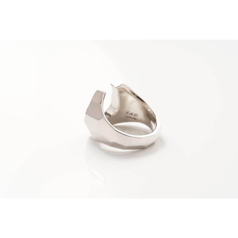 【最終値下げ】フリーアンソニーデザイン リング 12号 Flea Anthony Design フリーアンソニーデザイン リング プラチナ