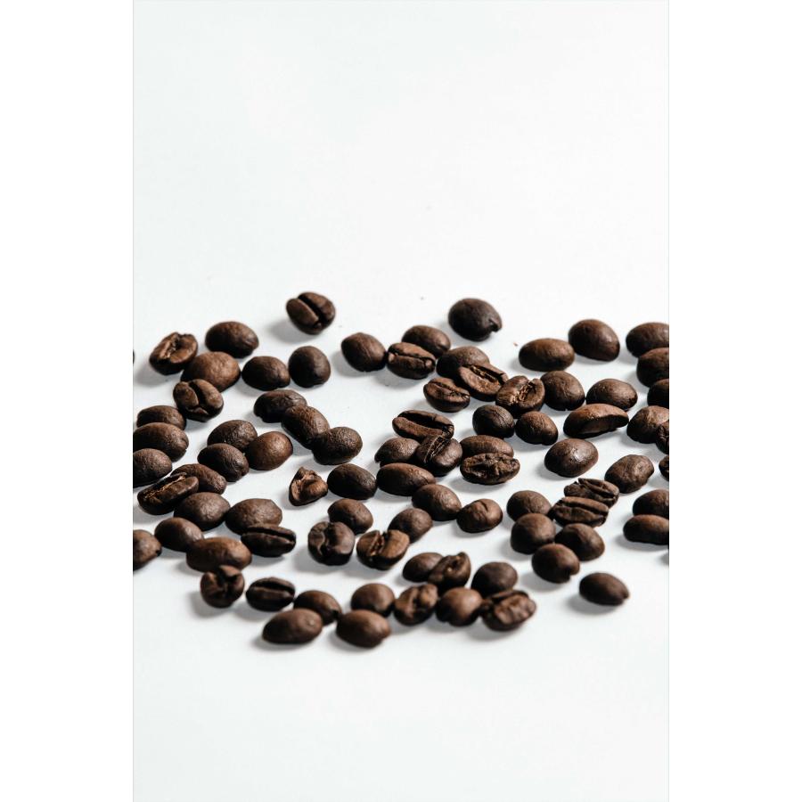 オーガニック コーヒー豆 自家焙煎 ブラジル 100g JAS認証 中深煎り | オーガニック | 02