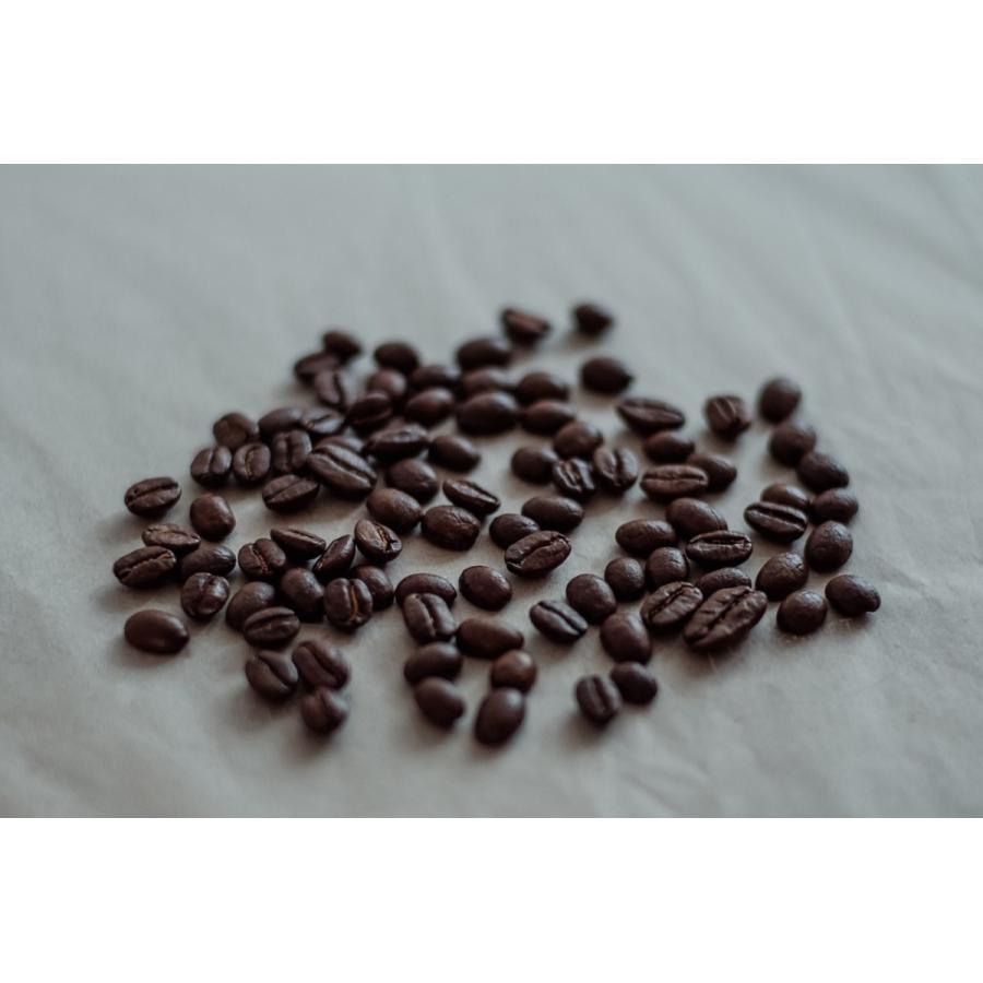 送料無料オーガニック コロンビア コーヒー豆 東京コーヒー Organic Colombia Coffee Beans 200gメール便 | オーガニック | 01