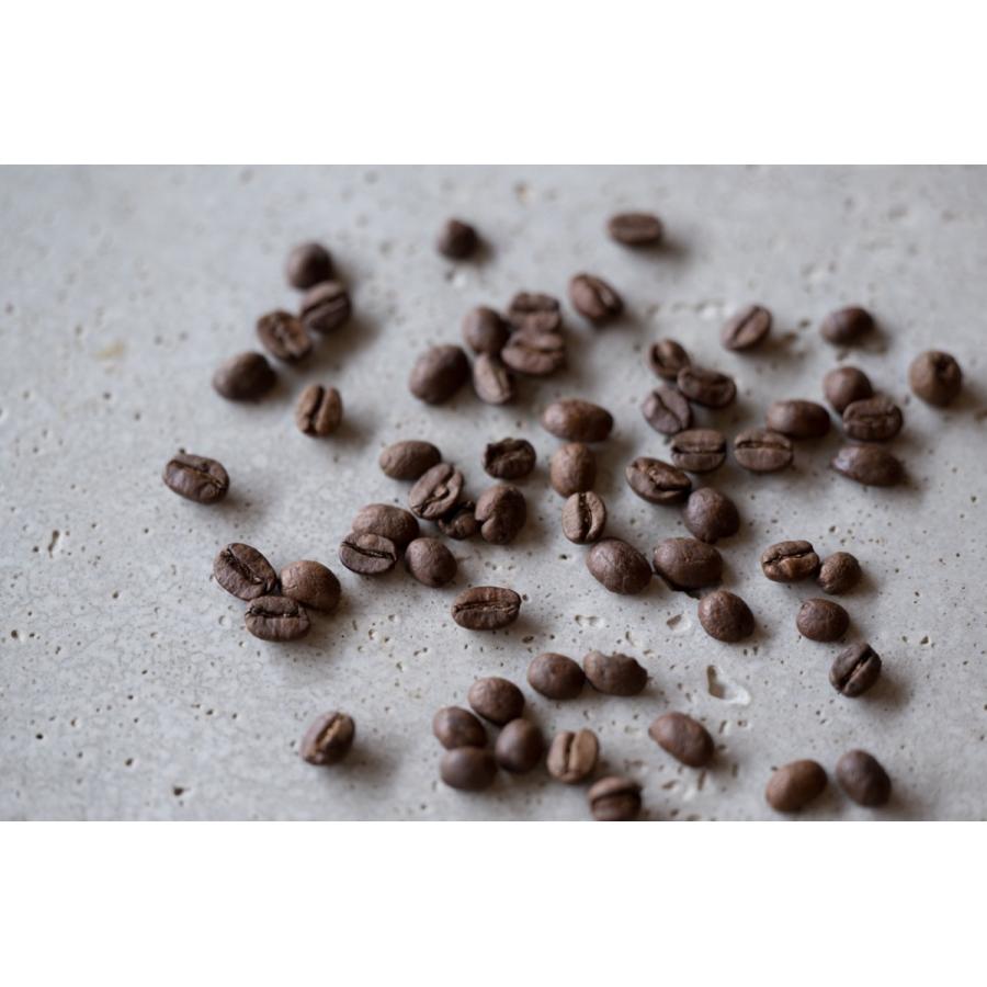 送料無料ノンカフェイン メキシコ コーヒー豆 TOKYO COFFEE Organic Decaf Mexico Coffee Beans 200gメール便｜rogutore｜03