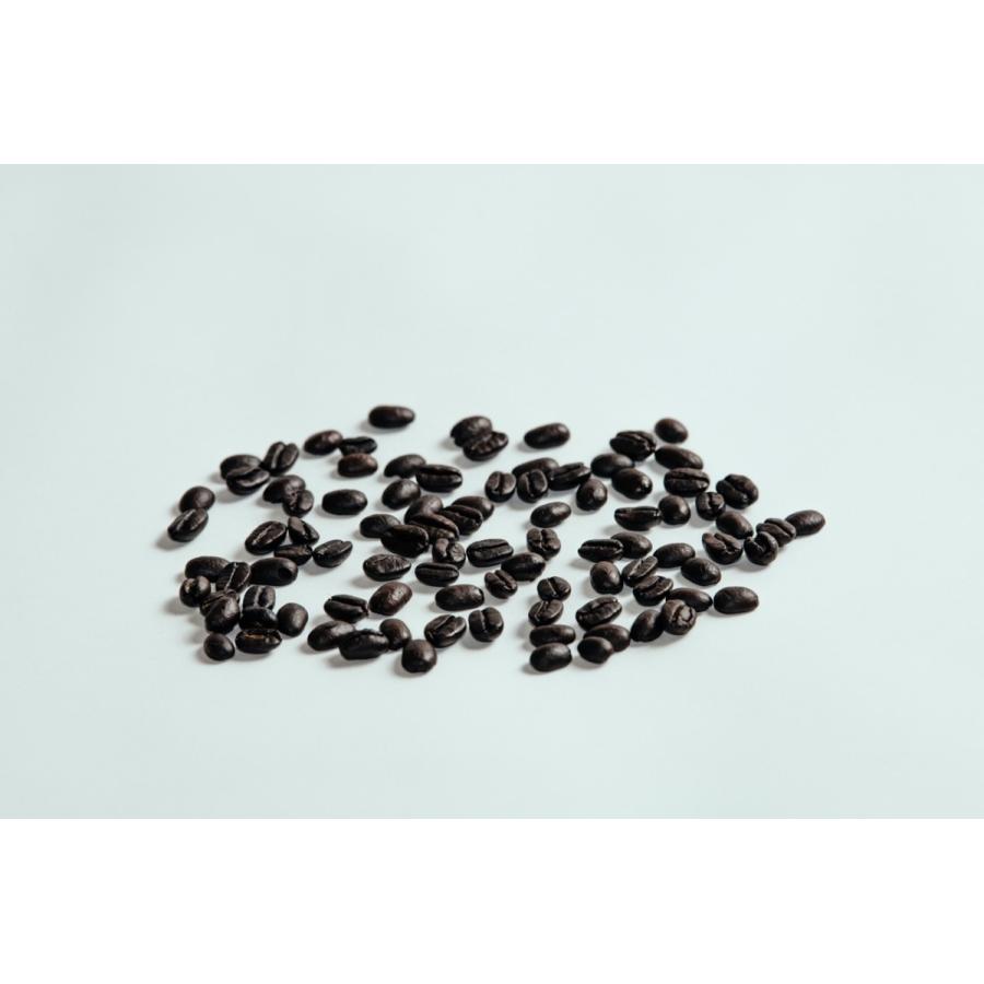 Tokyo Coffee Dutch Blend オーガニック 深煎りコーヒー豆 アイスコーヒー 水出しコーヒー ライトフレンチロースト 200g | オーガニック | 10