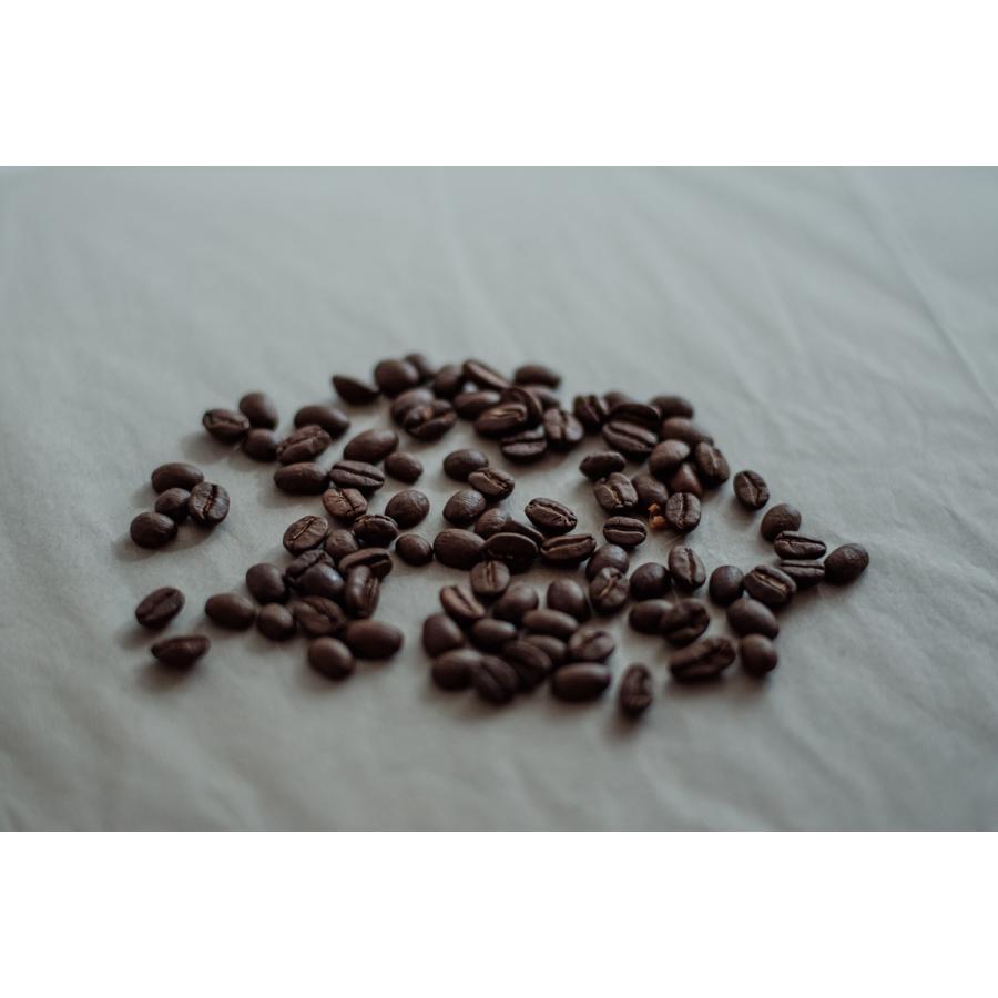 送料無料オーガニック メキシコ コーヒー豆 TOKYO COFFEE Organic Mexico Coffee Beans 200gメール便｜rogutore｜03