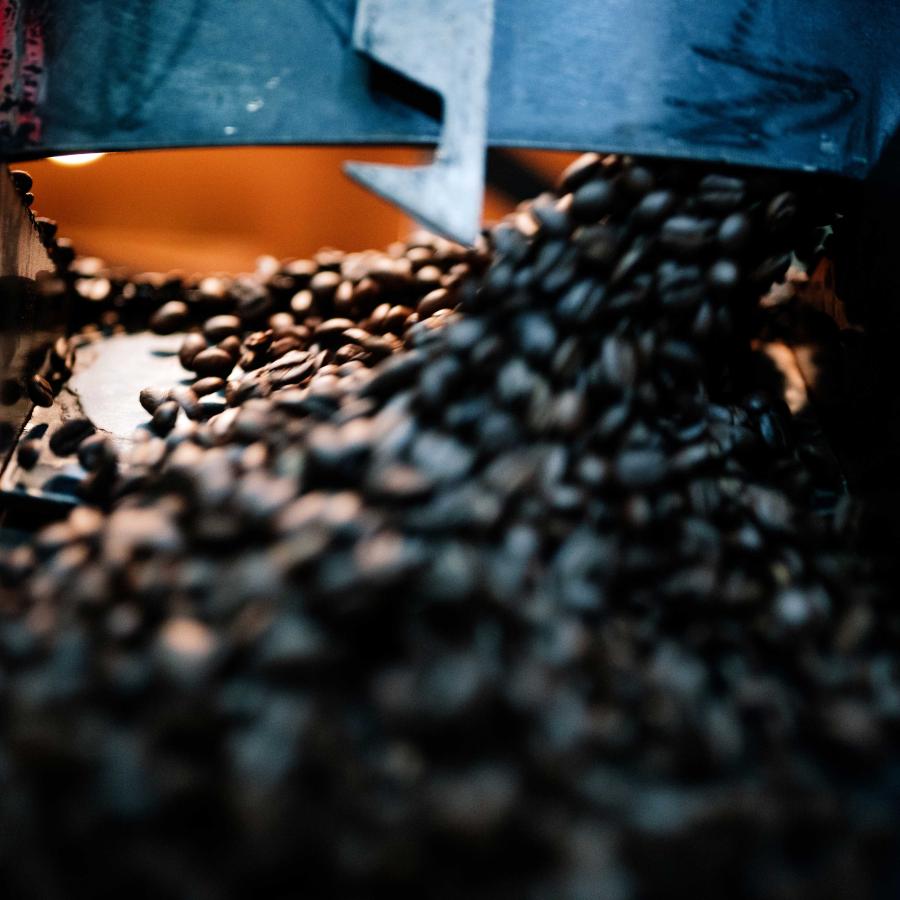 オーガニック コーヒー豆 水出しコーヒー 自家焙煎 Sixth Planet Blend 400g JAS認証 中深煎り | オーガニック | 04