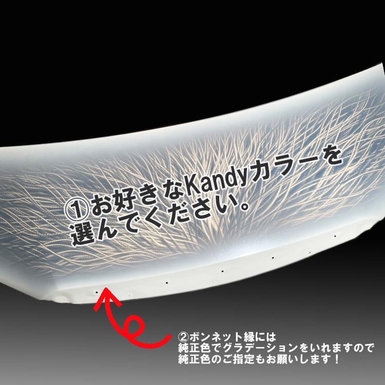 ヴォクシー 90 系 ROHAN グラインダータトゥー ボンネット Kandy1色