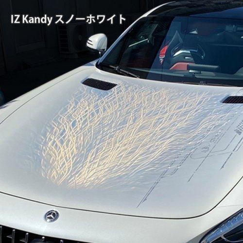 キャンディー カラー 塗料 IZ Kandy 1液型 ウレタン 0.9kg : ROHAN IZ