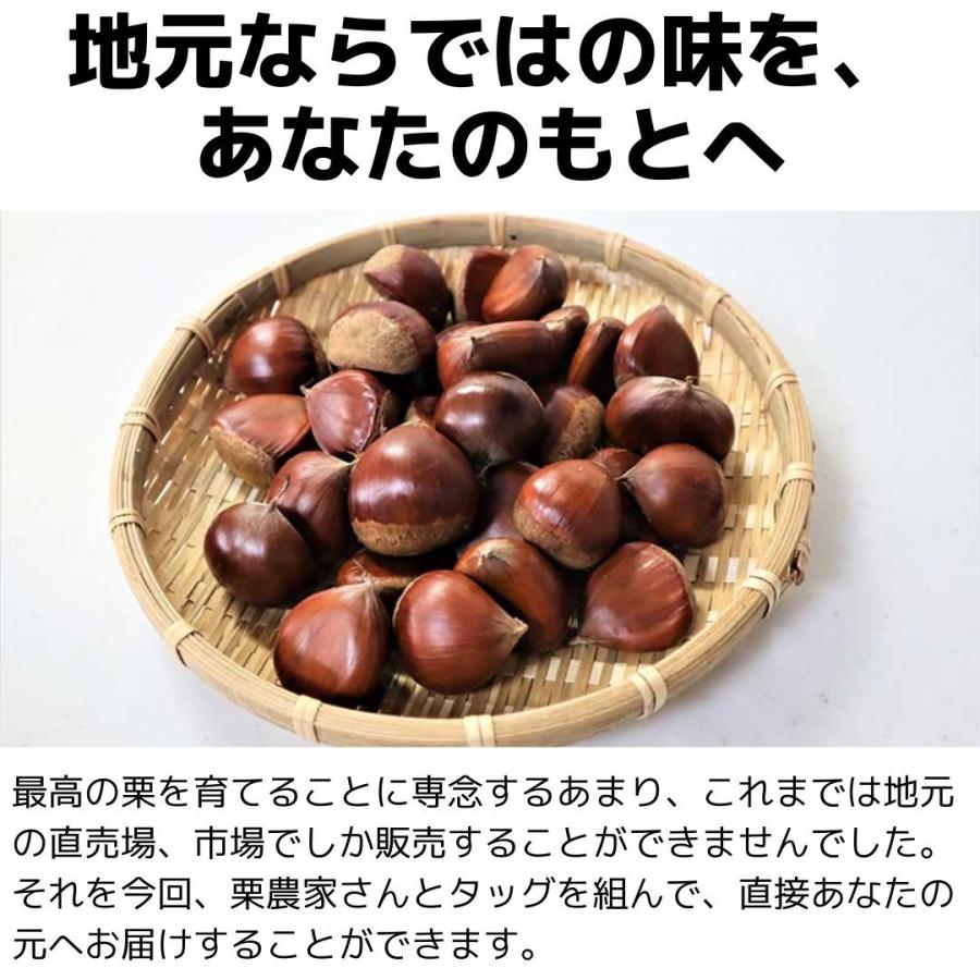 銀寄栗・ポロタン栗・利平栗・丹沢栗・筑波栗