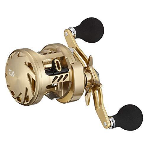 ダイワ(DAIWA) 21 バサラ 100L mm