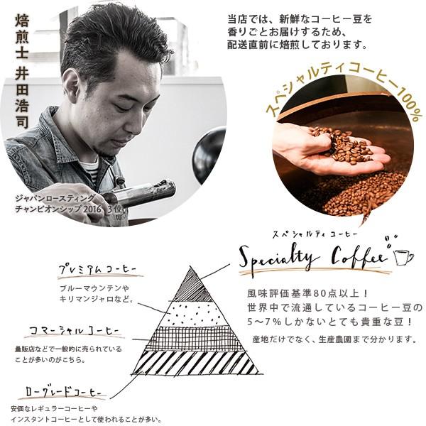 コーヒー ギフト ロクメイコーヒー スペシャルティコーヒー 焙煎豆 爽やかな朝に 朝専用コーヒー ミカサブレンド 100g Rcob Mikasa Be10 Rokumei Coffee Co 通販 Yahoo ショッピング