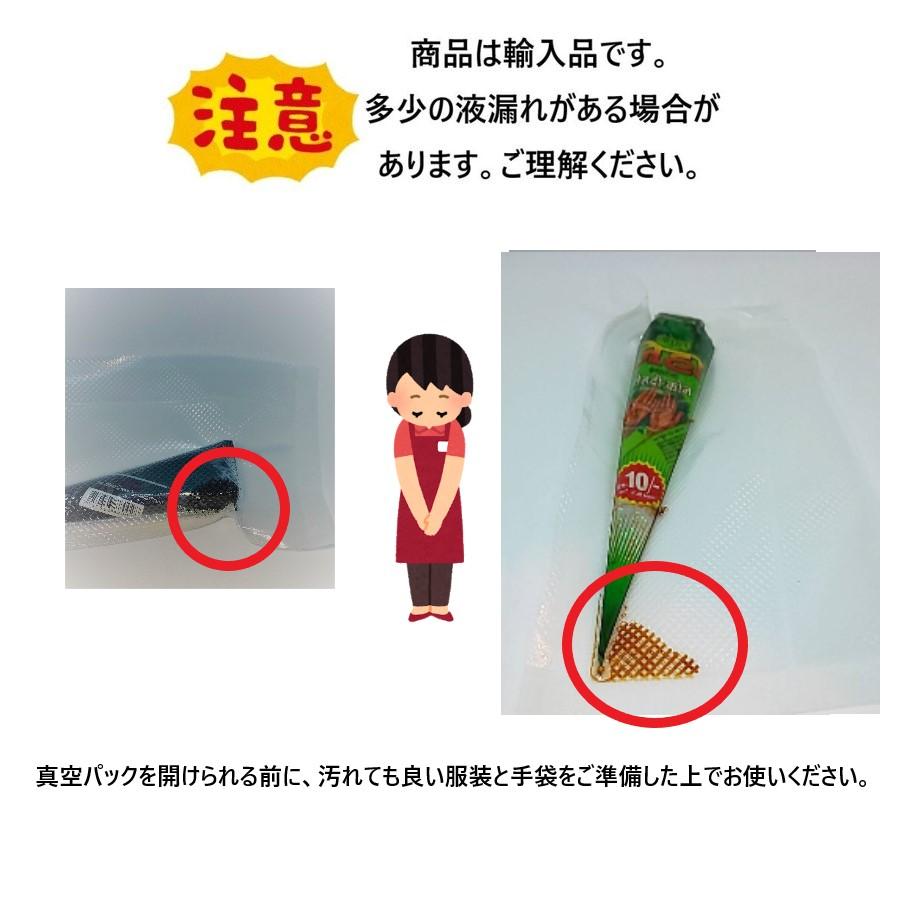 正規品 Golecha 100 植物 成分 ヘナ タトゥー コーン 黒 ブラック 25g 1 本 消える アート 説明書 ボディ ペイント デザイン 自由 入れ墨 イベント １ Henna Gl 鹿鳴ヤフーショッピング店 通販 Yahoo ショッピング