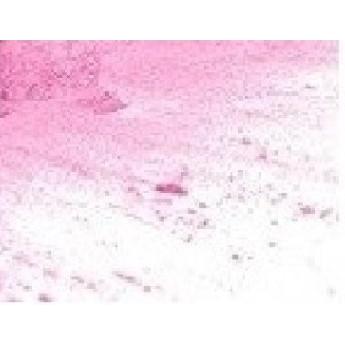 マイカ パウダー 雲母 化粧品 原材料 色素 着色料 粉末 キャンディ フロス ピンク ５ｇ グ レード 手作り Mica 1 鹿鳴ヤフーショッピング店 通販 Yahoo ショッピング