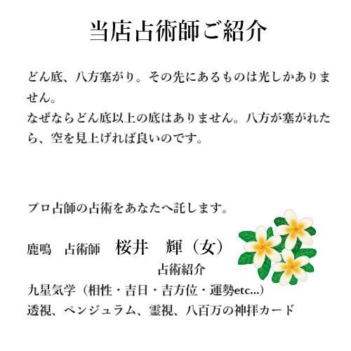 クリスタル チューナー 音叉 A 440hz ポイント 水晶 チューニング フォーク 浄化 タロット 占い エネルギー 調整 パワーストーン 天然石 送料無料 Tuning So 鹿鳴ヤフーショッピング店 通販 Yahoo ショッピング