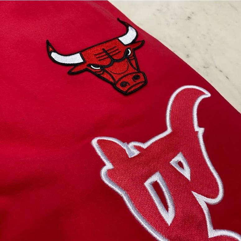 NBA公式 FISLL シカゴ ブルズ Chicago Bulls ハイクラス仕様 NBA公式 FISLL シカゴ ブルズ Chicago Bulls ハイクラス仕様