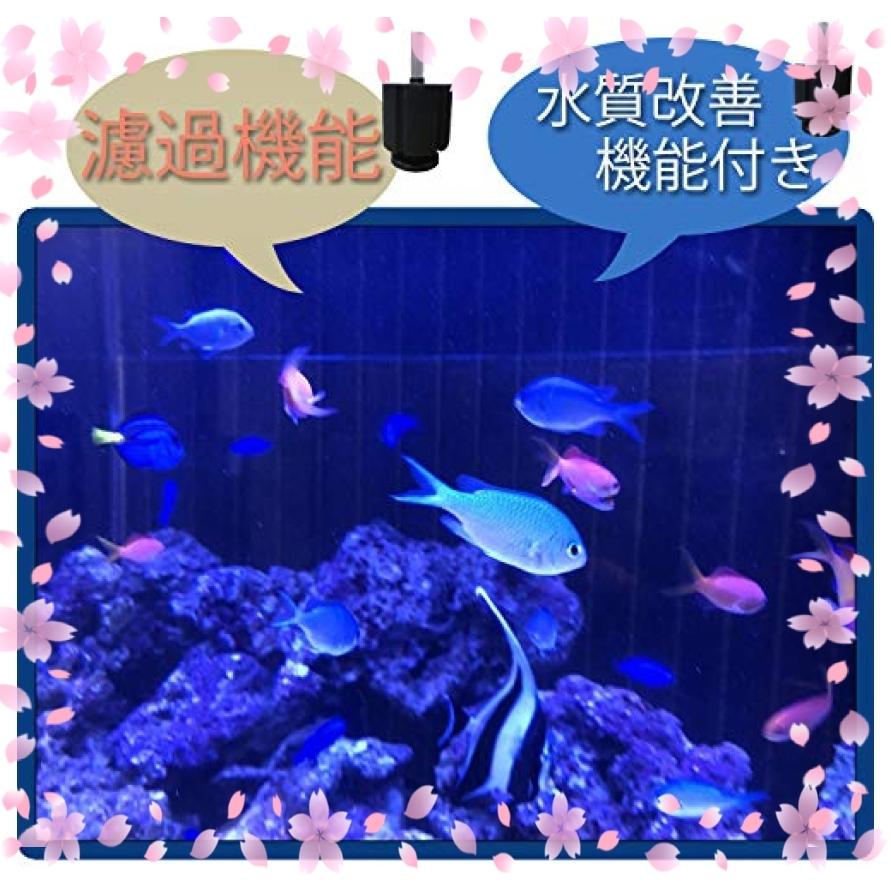 ラモーン スポンジフィルター 大型 Xy 2813 ろ過装置 水槽 フィルター 金魚 熱帯魚 2個セット Wss 51qpwfvuquib ロールヤフー店 通販 Yahoo ショッピング