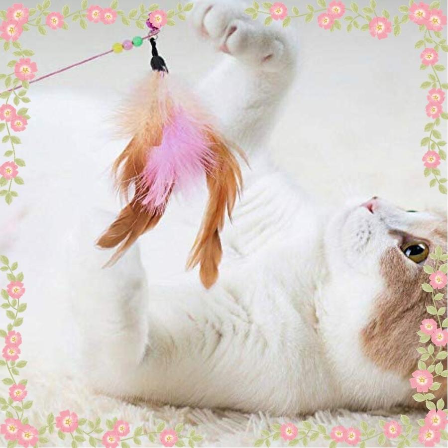 ねこ おもちゃyangbaga2５個猫 おもちゃ セット 猫のおもちゃ ねこじゃらし 猫おもちゃ人気 猫遊び用 猫 福袋 21 Wss 76pemhtn5lch ロールヤフー店 通販 Yahoo ショッピング