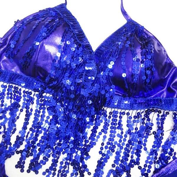 ダンス衣装・ステージ衣装に！メタリック＆スパンコールフリンジブラ