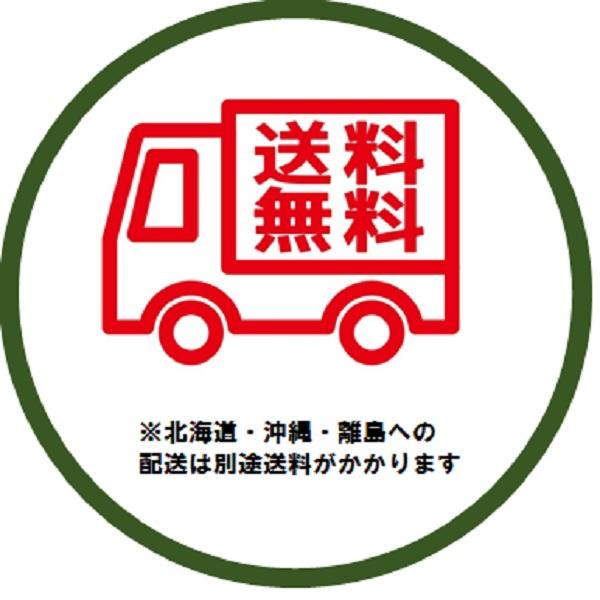 【未開封新品】スター精密 MCP21LB エアレジ対応 ロール紙10巻付き スター精密正規代理店】Airレジ エアペイ 楽天Pay mC-Print2 多機能