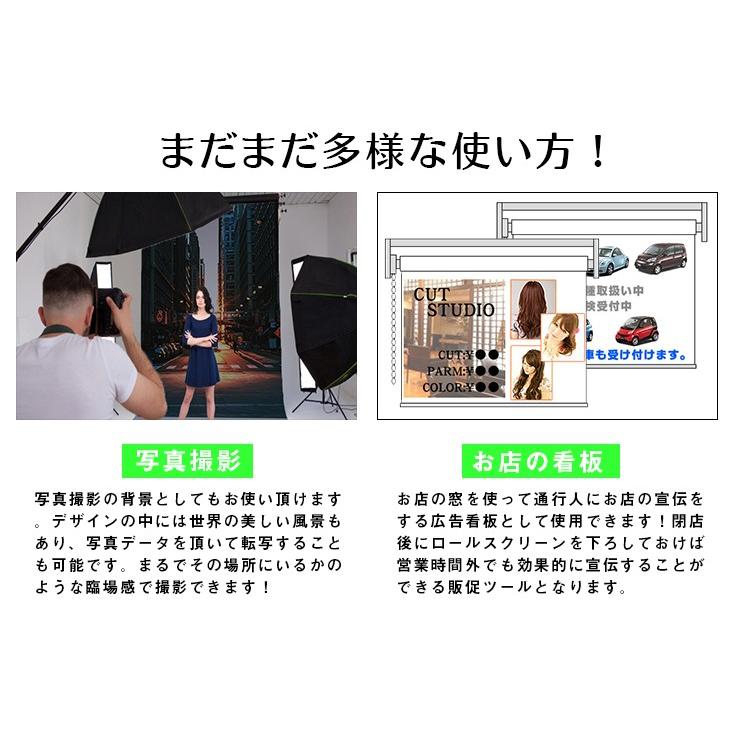 手数料安い アートスクリーン ロールスクリーン パステル 3030 28 C1270 ロールスクリーン 生地タイプ 遮光 Www Oroagri Eu