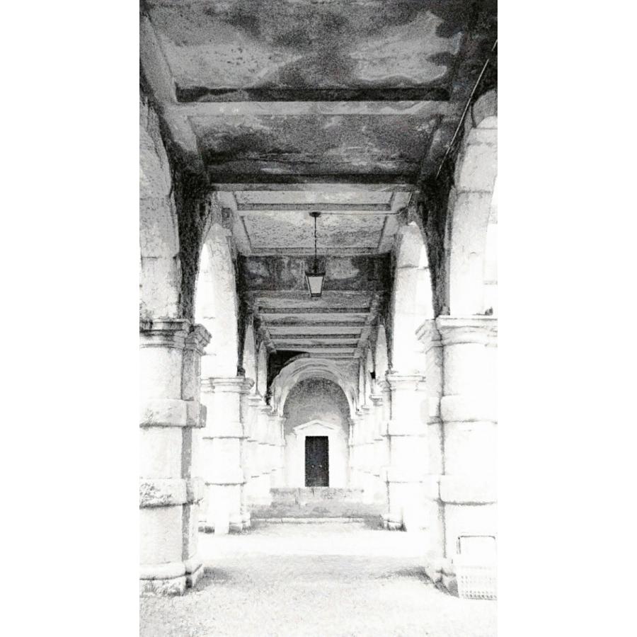 誠実 ロールスクリーン お花柄 パステル 3030 42 C1284 ロールスクリーン 操作方法 プルコード式 Www Oroagri Eu