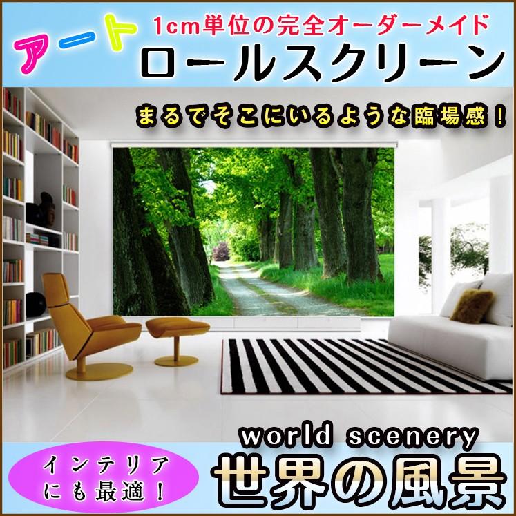 ロールスクリーン 看板 世界の風景 8022_01 C2040 並木道 緑 森