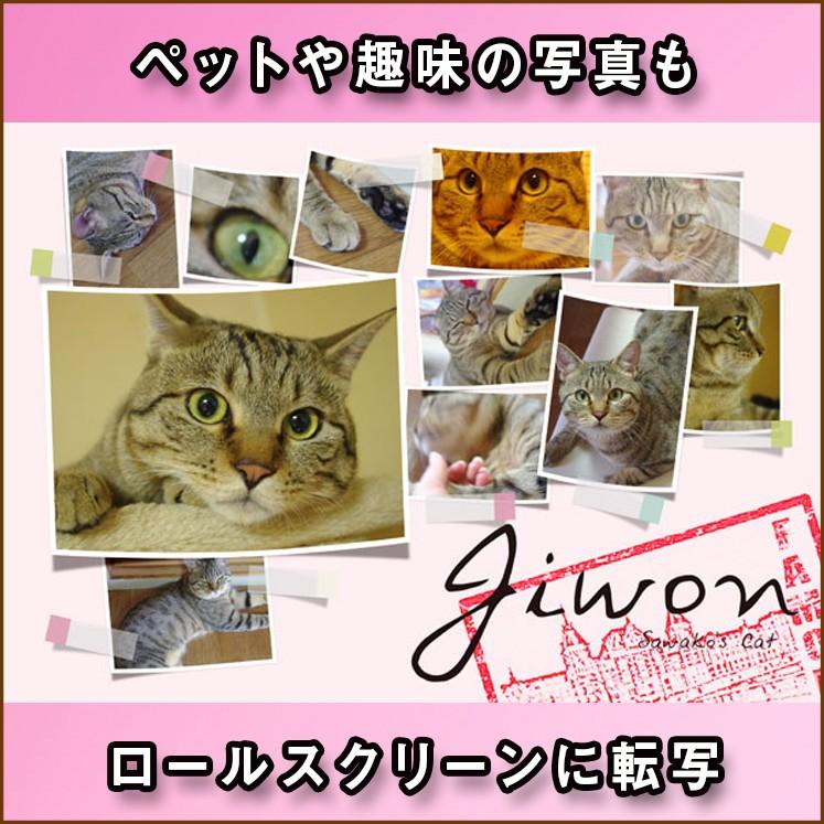 ロールスクリーン ロールカーテン 転写 プリント オリジナル フォトスクリーン Photo01 B Photo01b ロールスクリーンbisi 通販 Yahoo ショッピング