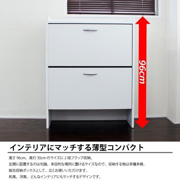 薄型 シューズボックス 2段 最大24足 シューズケース 下駄箱 玄関