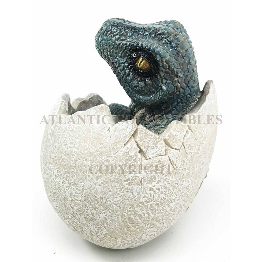 ジュラ紀時代 捕食者 ヴェロキラプトルの卵 恐竜置物 孵化した 卵が割れ恐竜の赤ちゃん 彫像 先史時代の動物 化石レプリカ彫刻 輸入品 0n00 浪漫堂ショップ 通販 Yahoo ショッピング