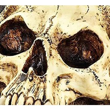 ゴシック風 中世の角のある悪魔の頭蓋骨 彫像(デジタル ゴシック風 中世の角のある悪魔の頭蓋骨 彫像(デジタル