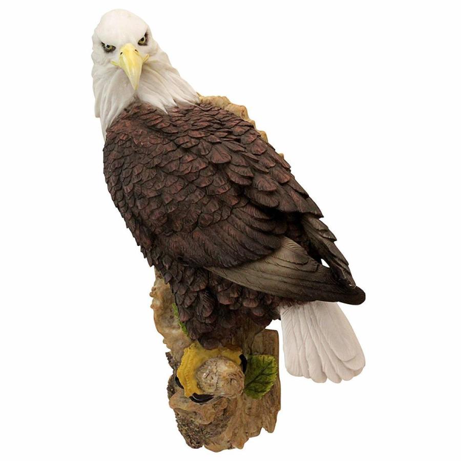 割引購入 彫刻 彫像 両翼を広げた 白頭鷲 デザイン トスカノ製 Design Statue 輸入品 Eagle Bald Wingspan Toscano 洋風 Hlt No