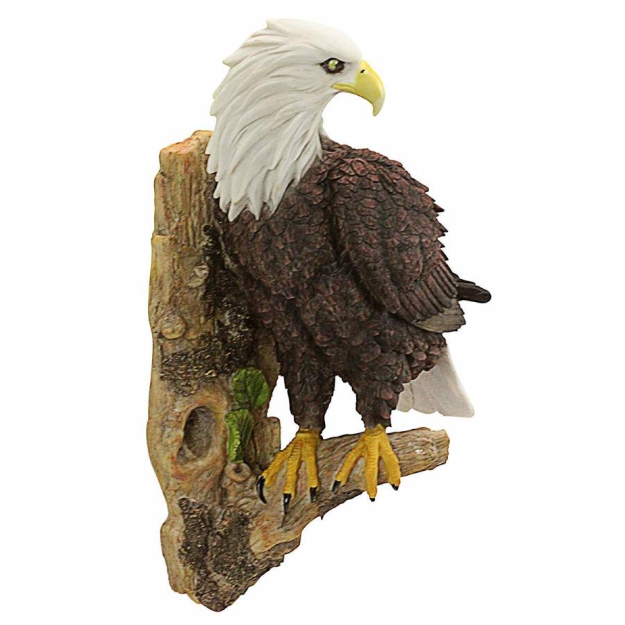 割引購入 彫刻 彫像 両翼を広げた 白頭鷲 デザイン トスカノ製 Design Statue 輸入品 Eagle Bald Wingspan Toscano 洋風 Hlt No