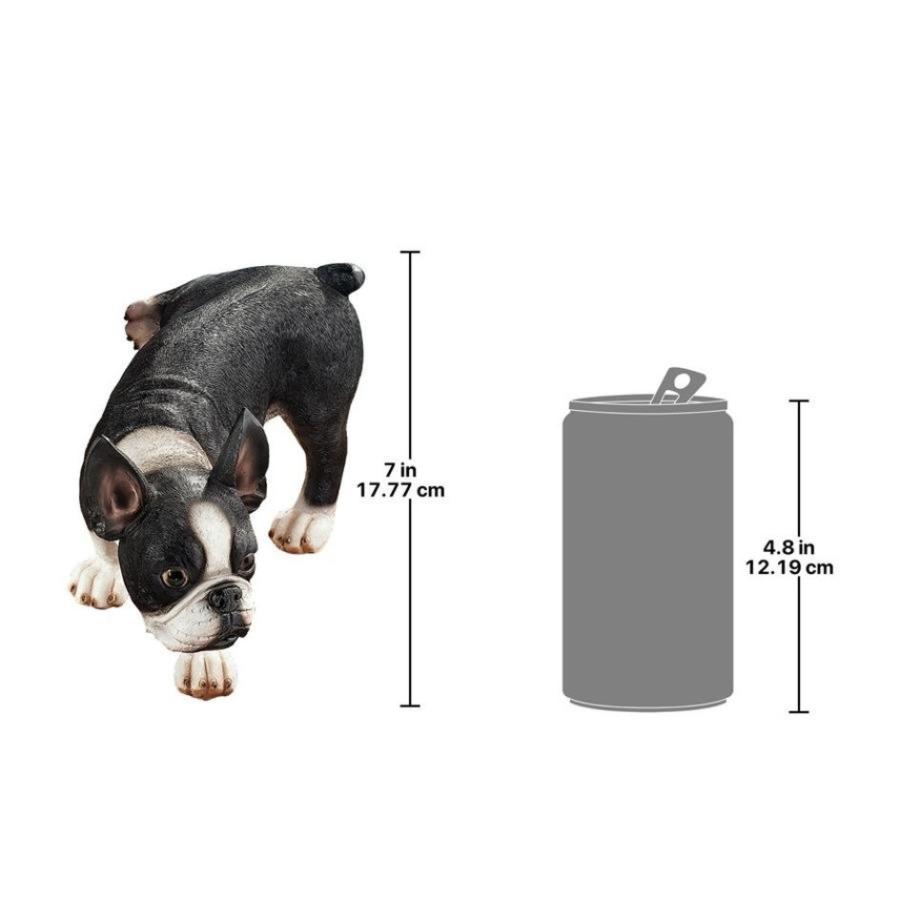 ボストンテリアの置物(特大)  陶器 楽天市場】ボストンテリア（Boston Terrier） 犬の置物