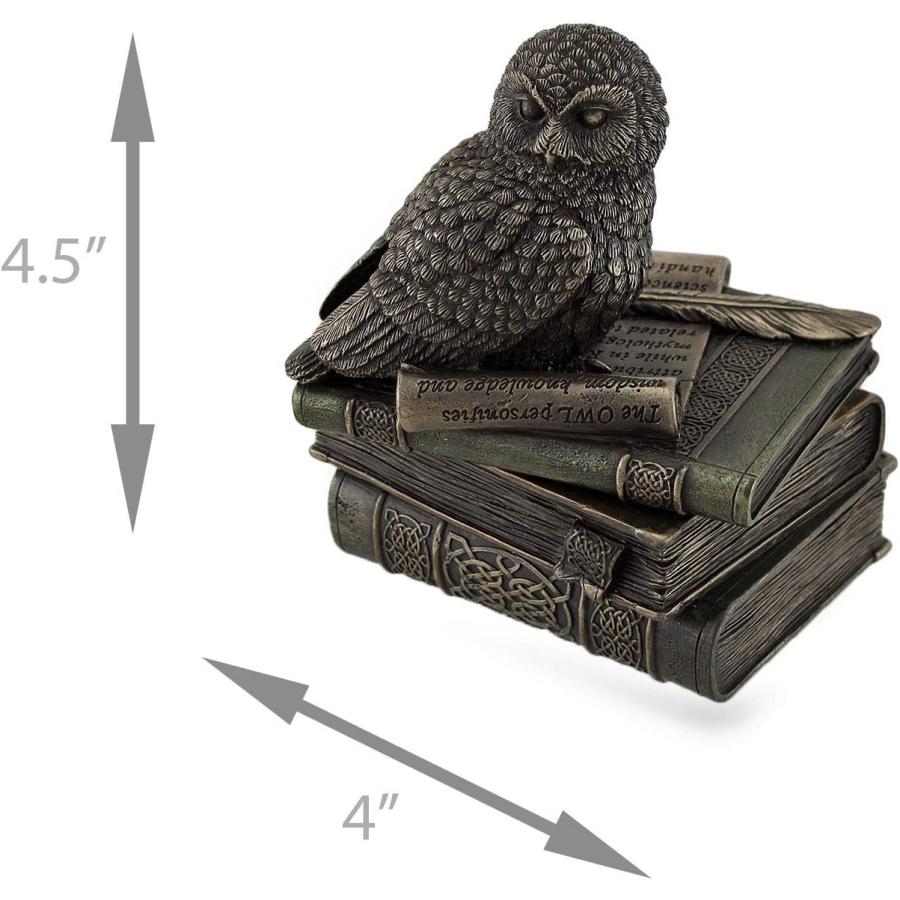 本の上に止まっているフクロウ ブロンズ風小物入れ彫像 収納ボックス