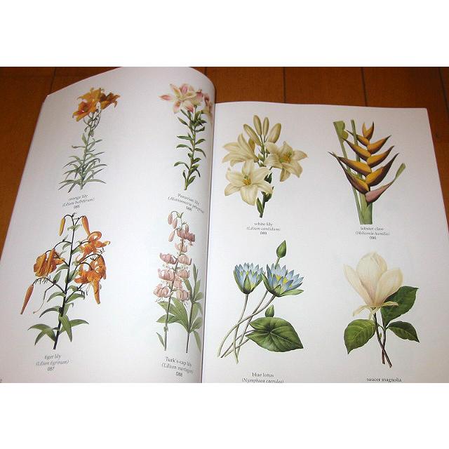 REDUTE 　ルドゥーテ　ユリ ボタニカルアート REDUTE ルドゥーテ ユリ ボタニカルアート - メルカリ
