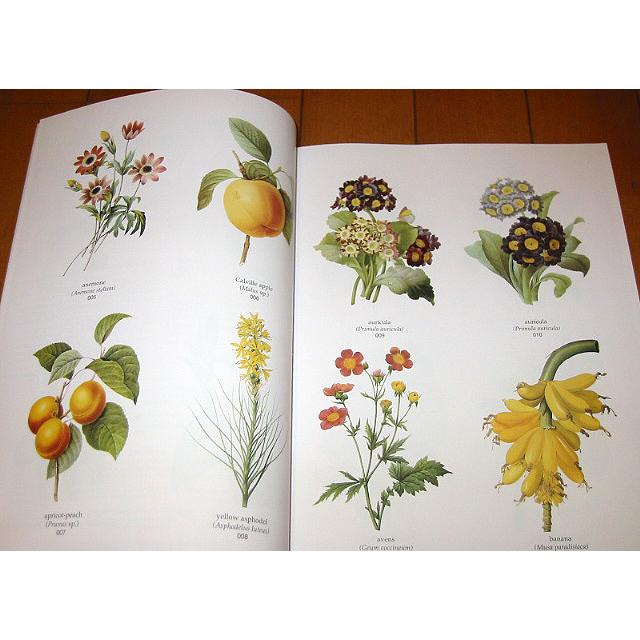 洋書【ルドゥーテの美しいボタニカルアート/Redout Flowers and