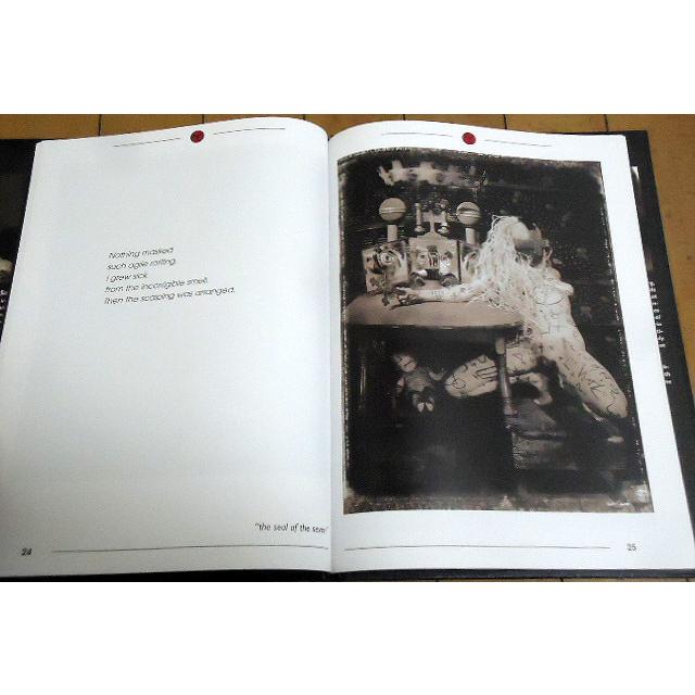 洋書写真集【ジョン・サンテリネロス作品集/ フルーツ・オブ 洋書写真集【ジョン・サンテリネロス作品集/ フルーツ・オブ