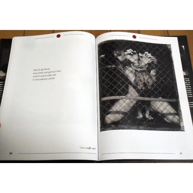 洋書写真集【ジョン・サンテリネロス作品集/ フルーツ・オブ 洋書写真集【ジョン・サンテリネロス作品集/ フルーツ・オブ