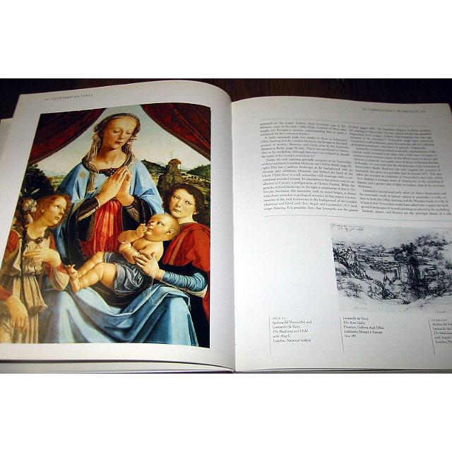 レオナルド・ダ・ヴィンチ  アート　画集　洋書 61CEFRpZU0L._UF350,350_QL50_.jpg