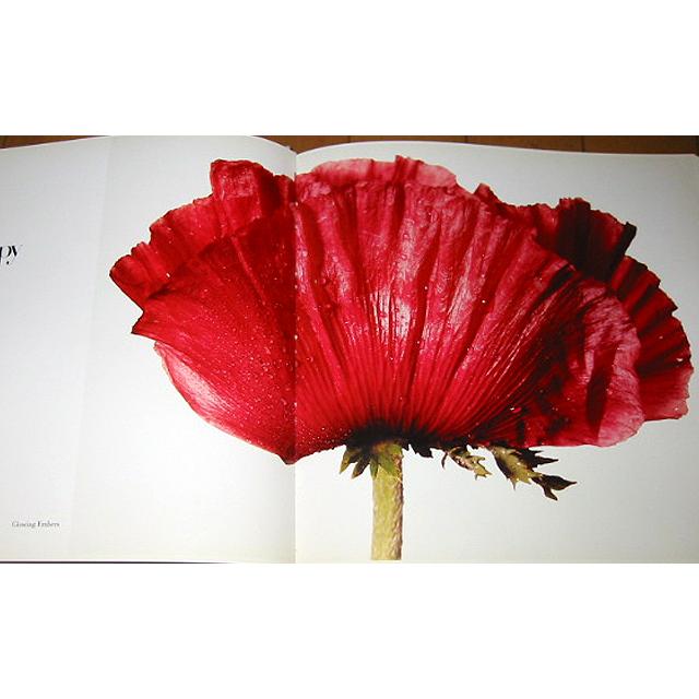 洋書写真集　フラワーズ/アービング・ペン/ FLOWERS/Irving Penn（輸入品）