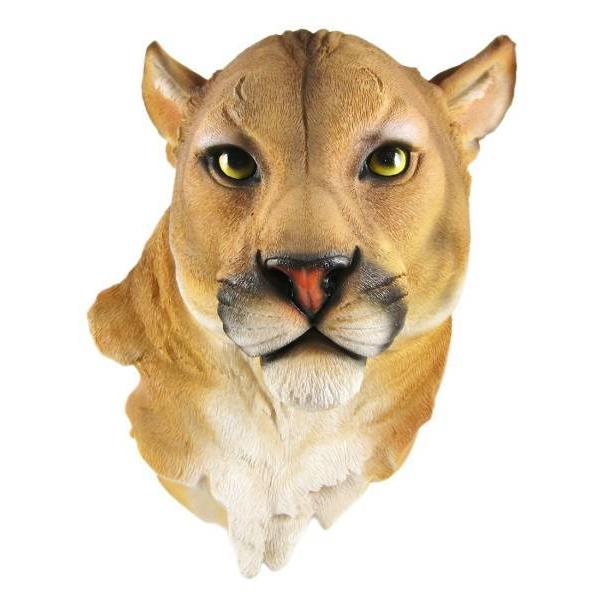 ピューマ 頭部 壁彫刻 彫像 北アメリカ ネコ科 サバンナ 草原 動物園 貴賓室 Vipルーム お祝い 輸入品 純正クリアランス Www Apartea Fr